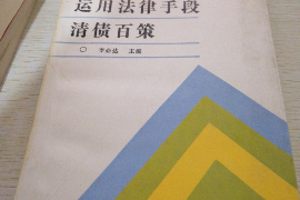 海晏为什么选择专业追讨公司来处理您的债务纠纷？